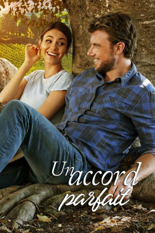 ubber 2010 FHD MULTI