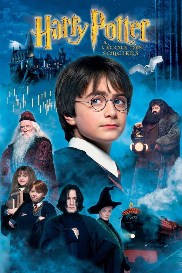 Harry Potter à l'école des sorciers MULTI