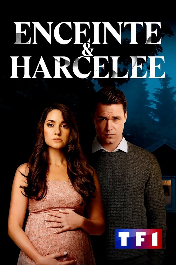 Enceinte et Harcelée